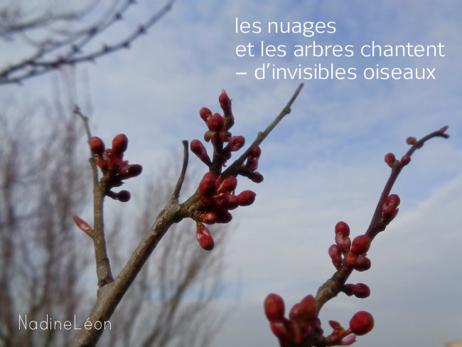 arbre en bourgeons