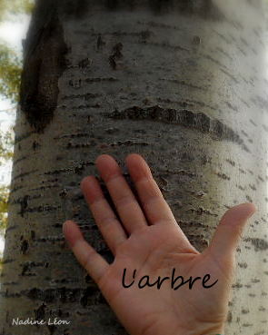 L`arbre