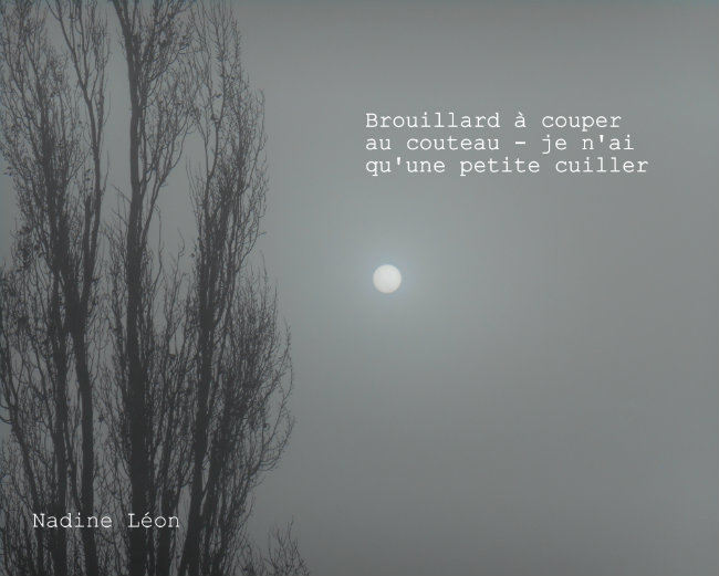 Brouillard haku 