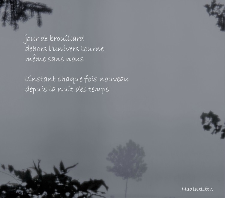 brouillard