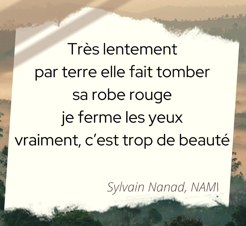 NAMI de Sylvain Nanad