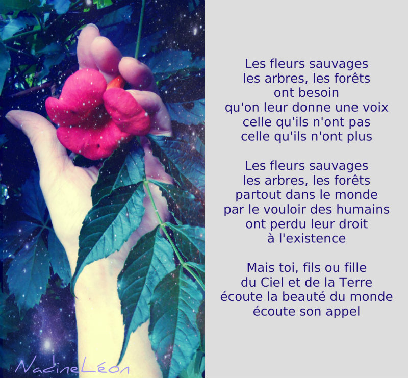 Droits de la Nature