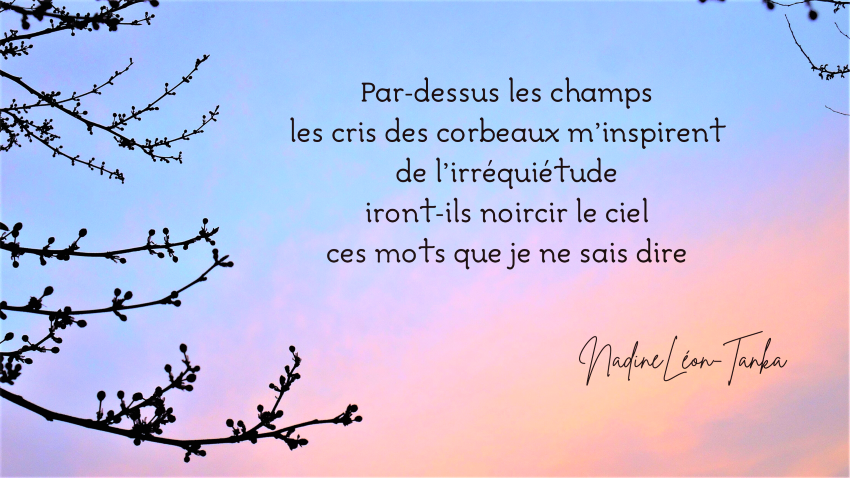 Mots dans le vent - Tanka-prose