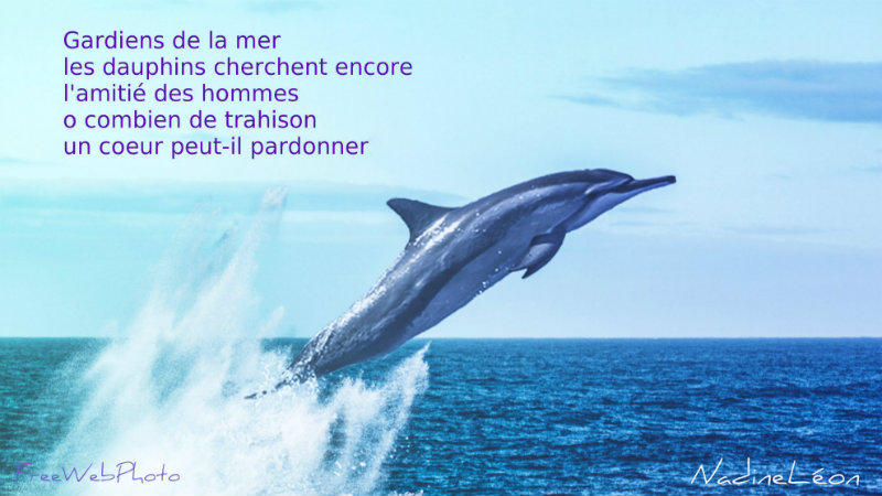 Fable de la Mer - #Tanka -prose