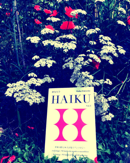 haku 