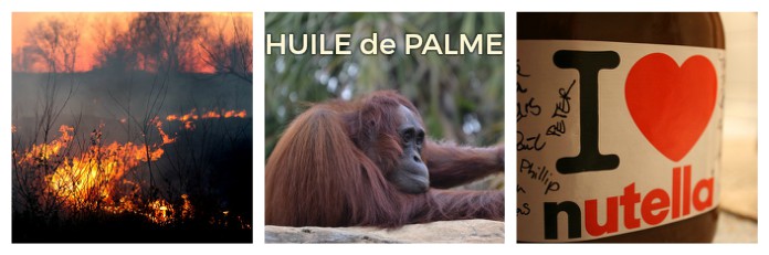 Huile de palme