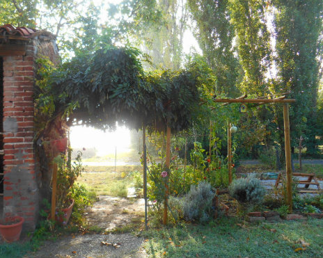 Jardin au matin