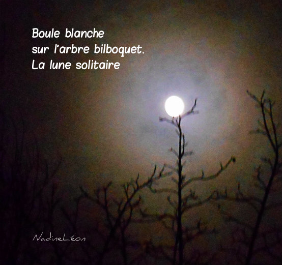 Lune de Janvier