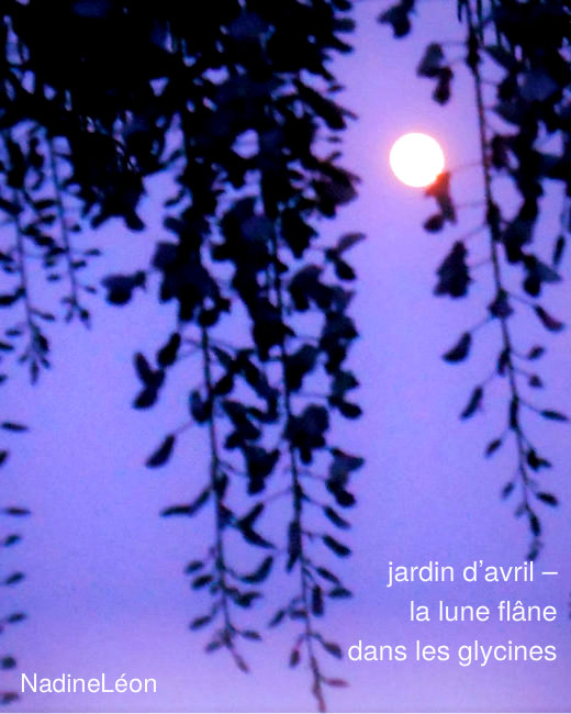 Lune d`Avril