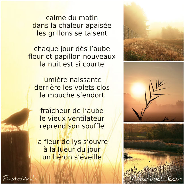 Haikus du Matin