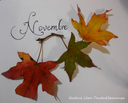 Feuilles d`automne