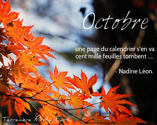 Haku d`Octobre